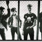 Anti-pasti - List pictures