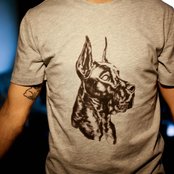 Great Dane - List pictures