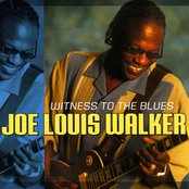 Joe Louis Walker - List pictures