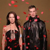 Lamb - List pictures