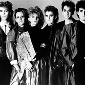 Animotion - List pictures