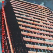 Bourbonese Qualk - List pictures