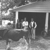 Short Cross - List pictures