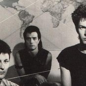 Shriekback - List pictures