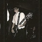 Evergreen - List pictures