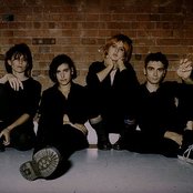 Elastica - List pictures