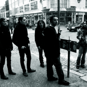 Shamrain - List pictures