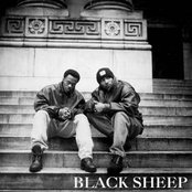 Black Sheep - List pictures