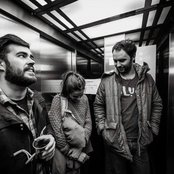 Brutus - List pictures