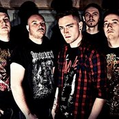 Ingested - List pictures