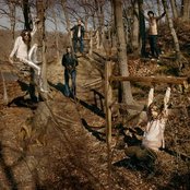 An Albatross - List pictures