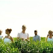 Mother Mother - List pictures