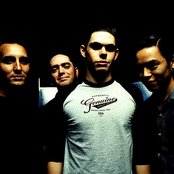 Slick Shoes - List pictures