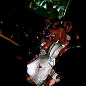 The Bunny The Bear - List pictures