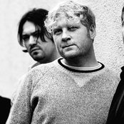 Vamp - List pictures