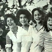 Menudo - List pictures