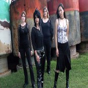 Bully - List pictures