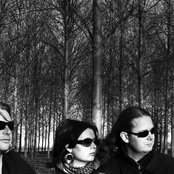 Satinoxide - List pictures