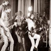 Zoopark - List pictures