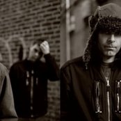 Local H - List pictures