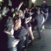 The Bunny The Bear - List pictures