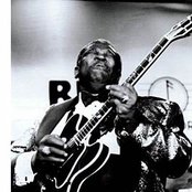 B.b. King - List pictures