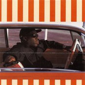 King T - List pictures