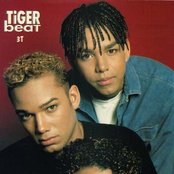 3t - List pictures