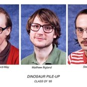 Dinosaur Pile-up - List pictures