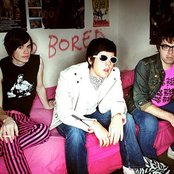 Pink Spiders - List pictures