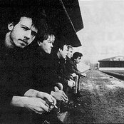 Half Man Half Biscuit - List pictures