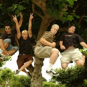 Brodie - List pictures