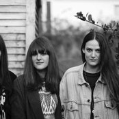 The Staves - List pictures