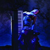 Amanda Palmer - List pictures