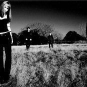 Tapping The Vein - List pictures