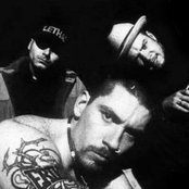 House Of Pain - List pictures