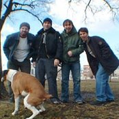 Lo Fidelity Allstars - List pictures