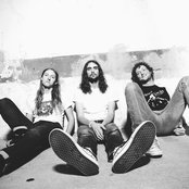 Zig Zags - List pictures