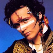 Adam Ant - List pictures