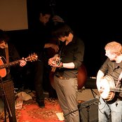 Tangarine - List pictures