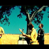 Rogue Wave - List pictures