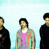 Young Gods - List pictures