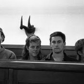 Able Tasmans - List pictures