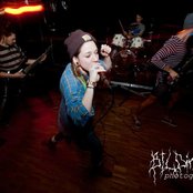 Wood - List pictures