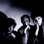 Minimal Compact - List pictures