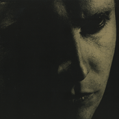 Luke Haines - List pictures