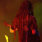 Crossbreed - List pictures