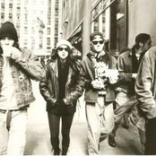 Green Apple Quick Step - List pictures