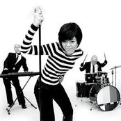 Whale - List pictures