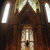 Amy Lee - List pictures